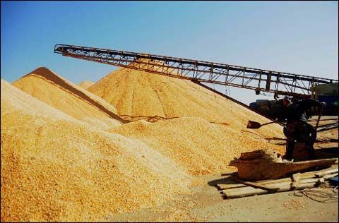  �Zʳ����C(j��)